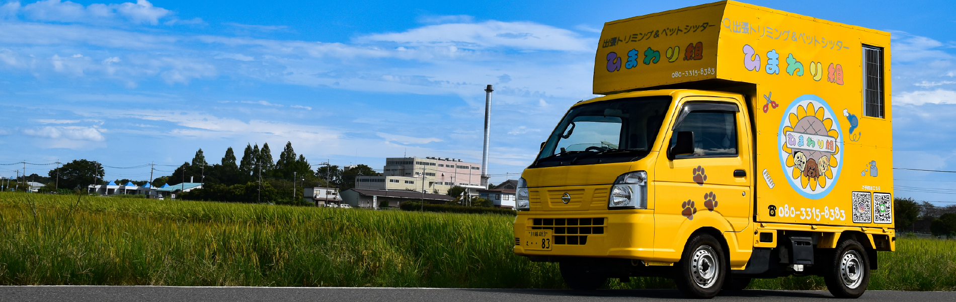 出張トリミングひまわり　車写真１